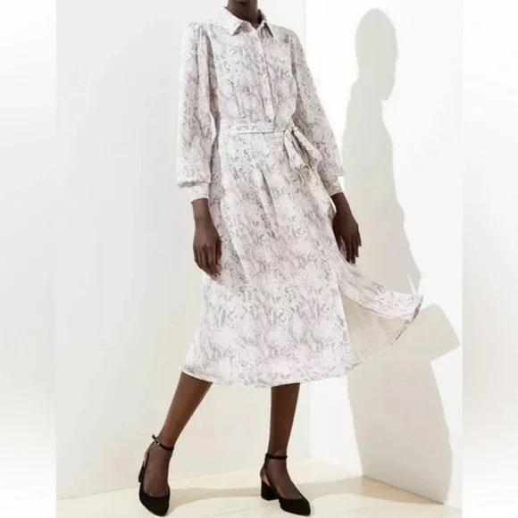 Loft Snake Print Button Front Belted Dress - Picture 1 of 6